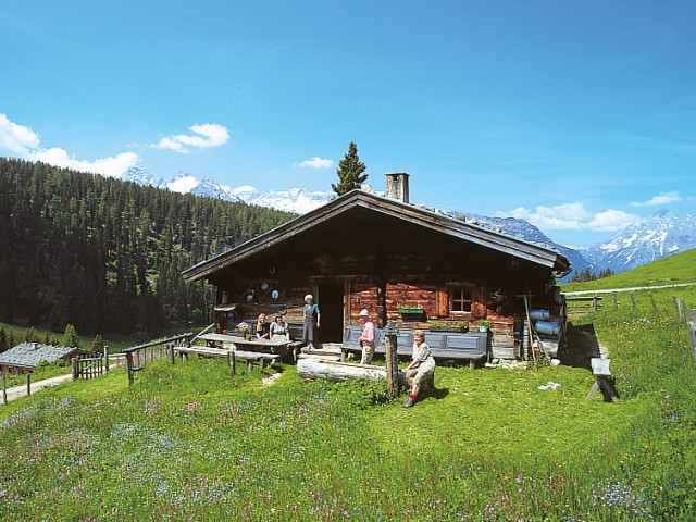 Almhütte Heubadehof