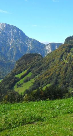 Almhütte Heubadehof